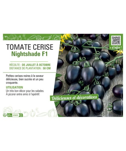 TOMATE CERISE NIGHTSHADE F1