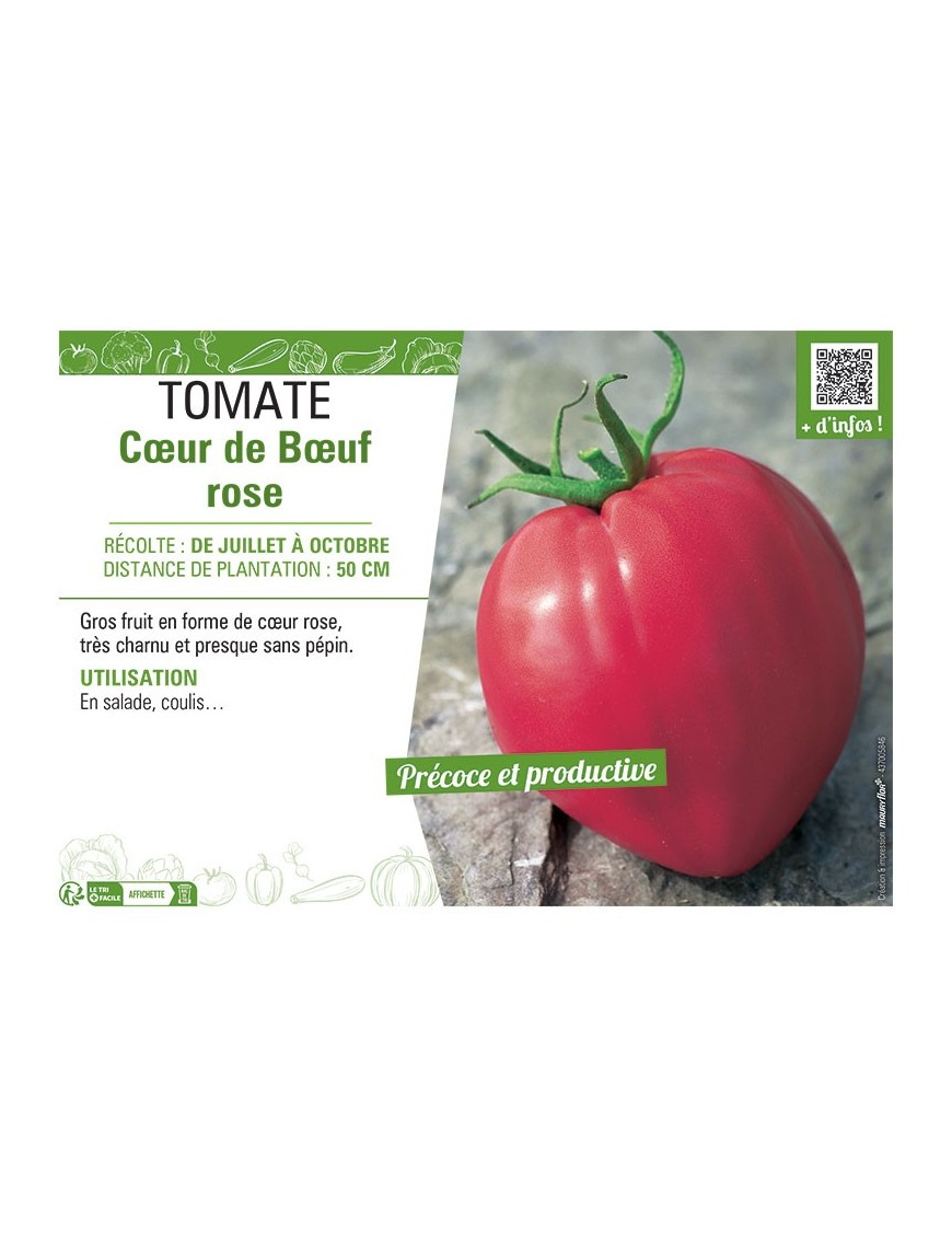TOMATE CŒUR DE BŒUF ROSE