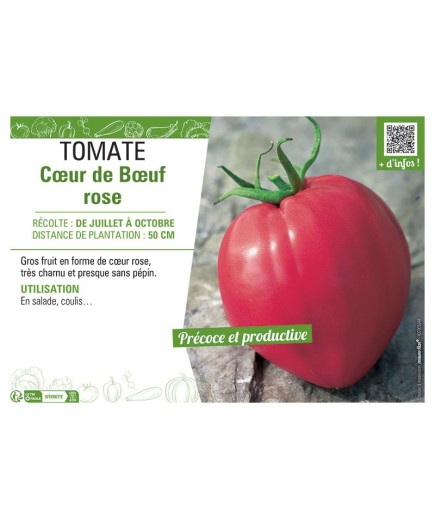 TOMATE CŒUR DE BŒUF ROSE
