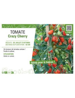 TOMATE CRAZY CHERRY