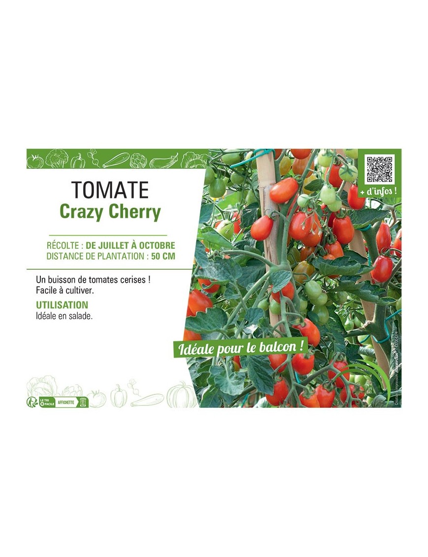TOMATE CRAZY CHERRY