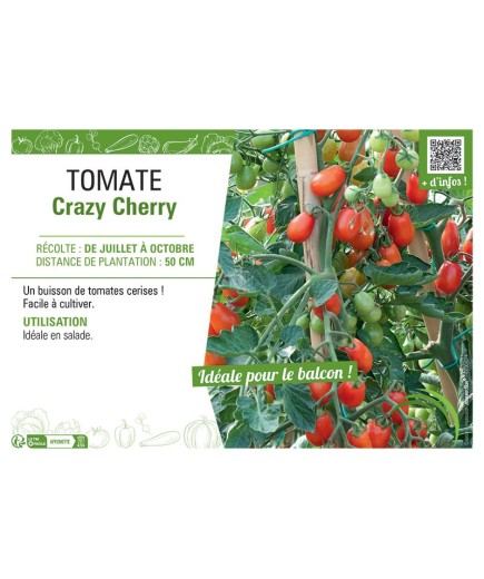 TOMATE CRAZY CHERRY