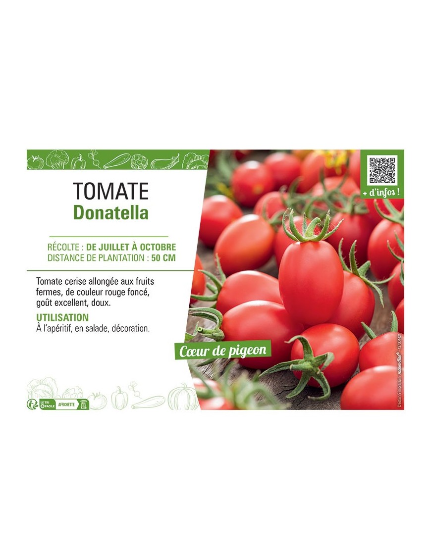 TOMATE DONATELLA
