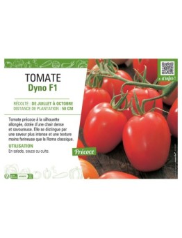 TOMATE DYNO F1