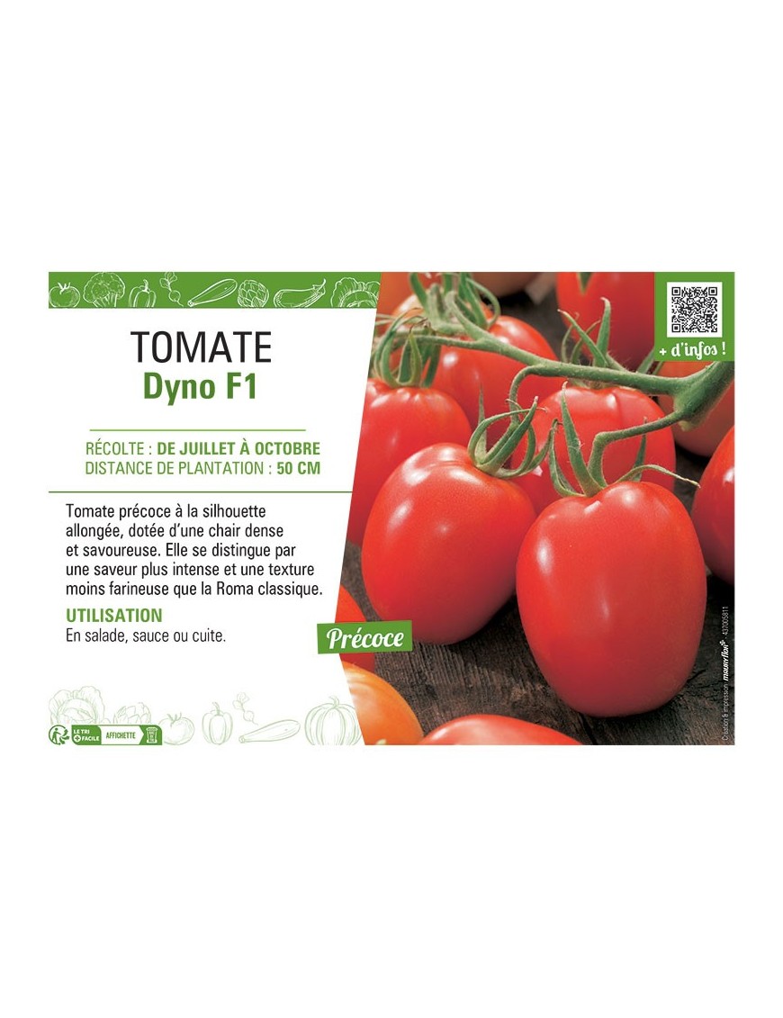 TOMATE DYNO F1