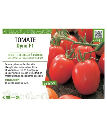 TOMATE DYNO F1