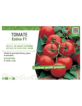 TOMATE ESTIVA F1