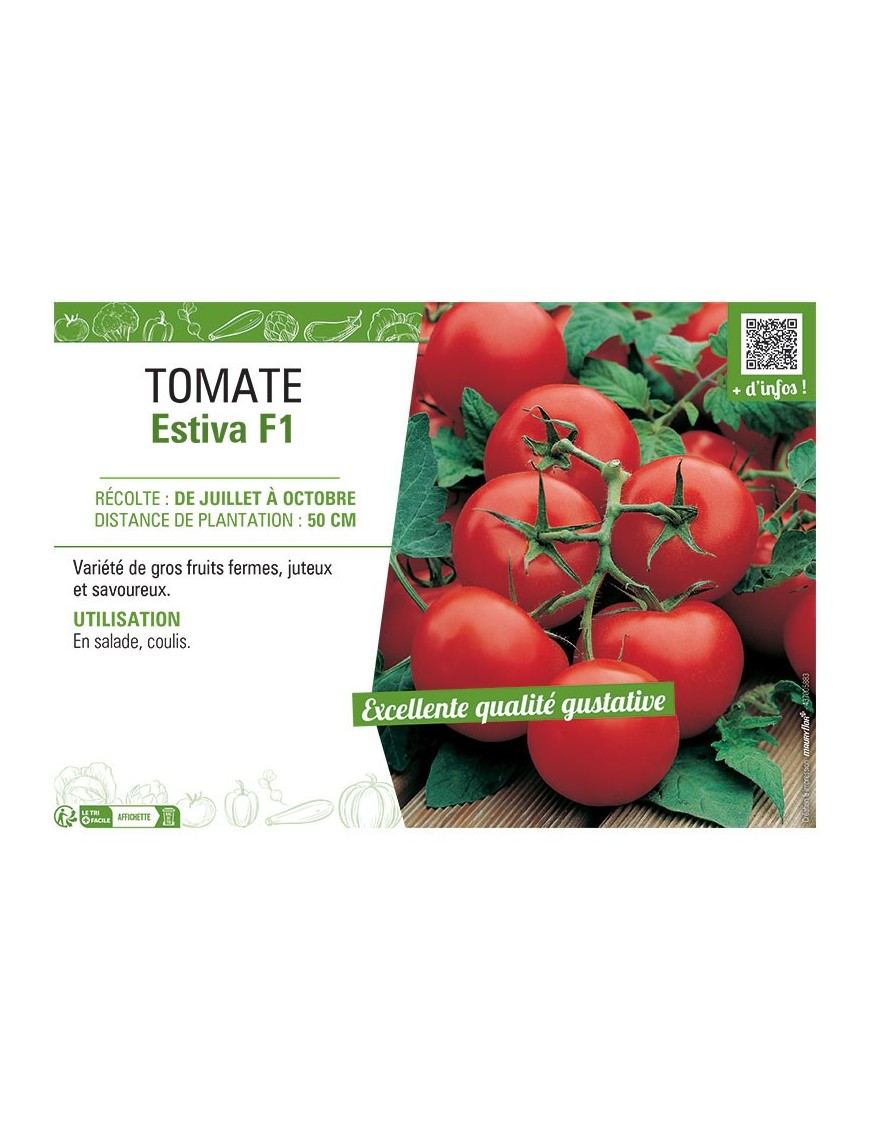 TOMATE ESTIVA F1