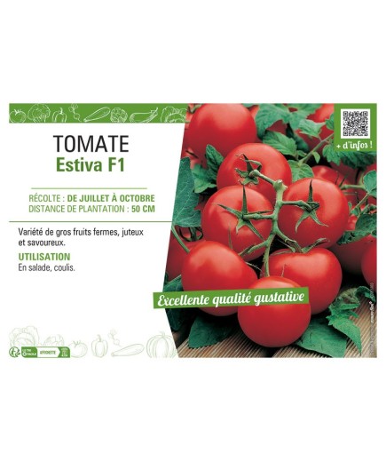 TOMATE ESTIVA F1