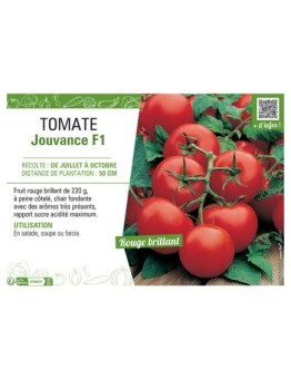 TOMATE JOUVANCE F1