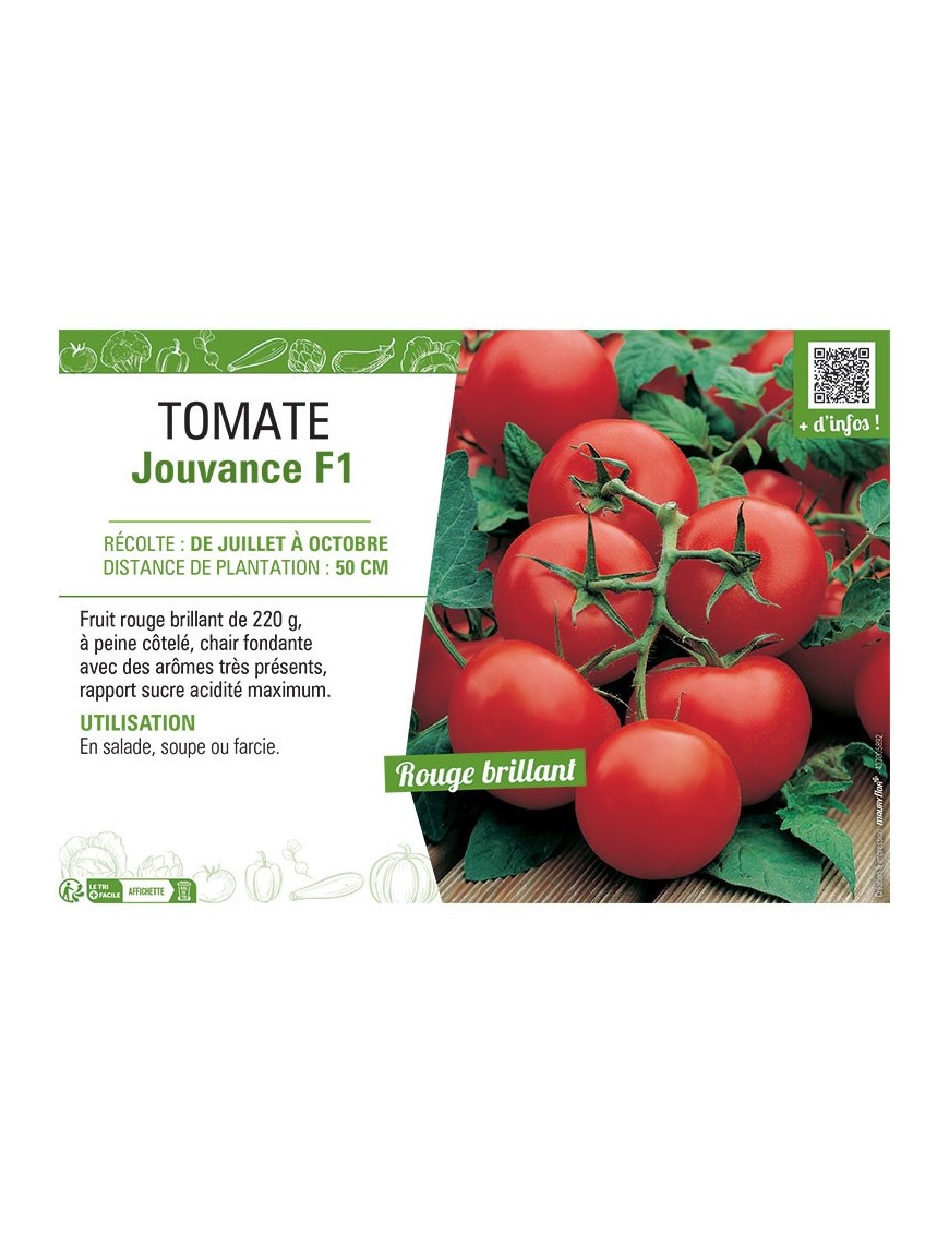 TOMATE JOUVANCE F1