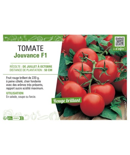 TOMATE JOUVANCE F1