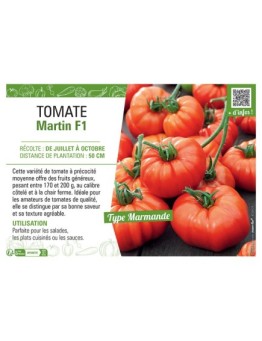 TOMATE MARTIN F1