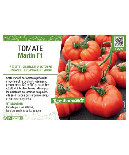 TOMATE MARTIN F1