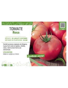 TOMATE ROSA