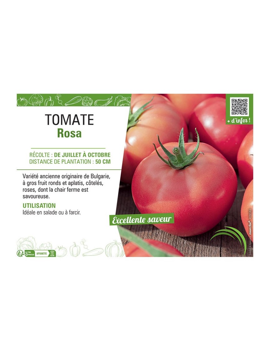 TOMATE ROSA