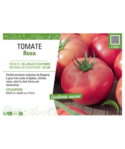 TOMATE ROSA