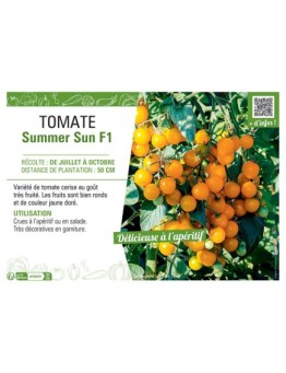 TOMATE SUMMER SUN F1