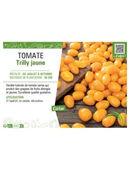 TOMATE TRILLY JAUNE