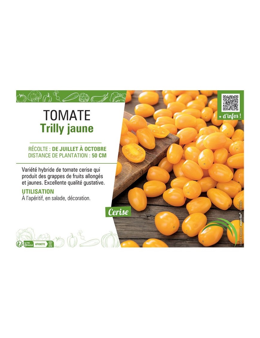 TOMATE TRILLY JAUNE