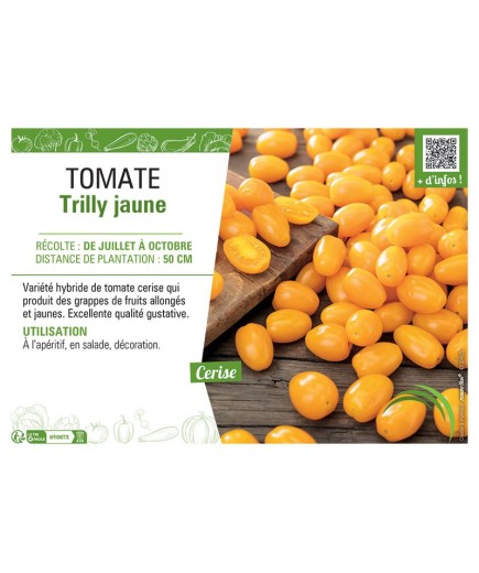 TOMATE TRILLY JAUNE
