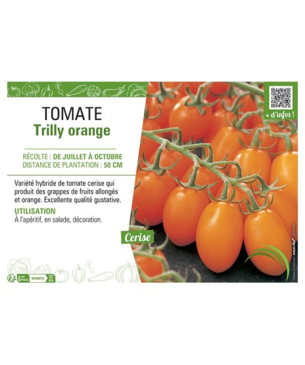 TOMATE TRILLY ORANGE