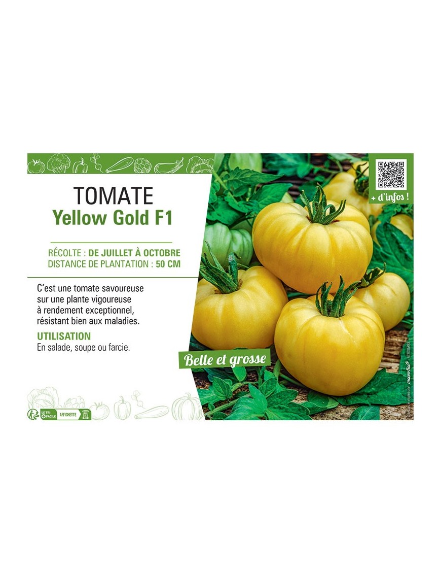 TOMATE YELLOW GOLD F1