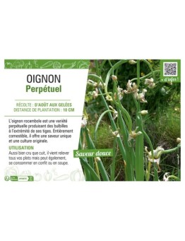 OIGNON PERPETUEL