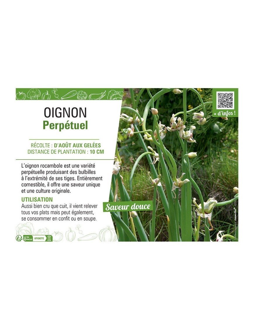 OIGNON PERPETUEL