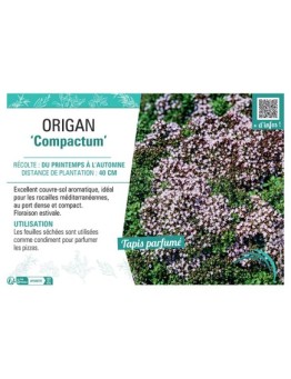 ORIGAN COMPACTUM