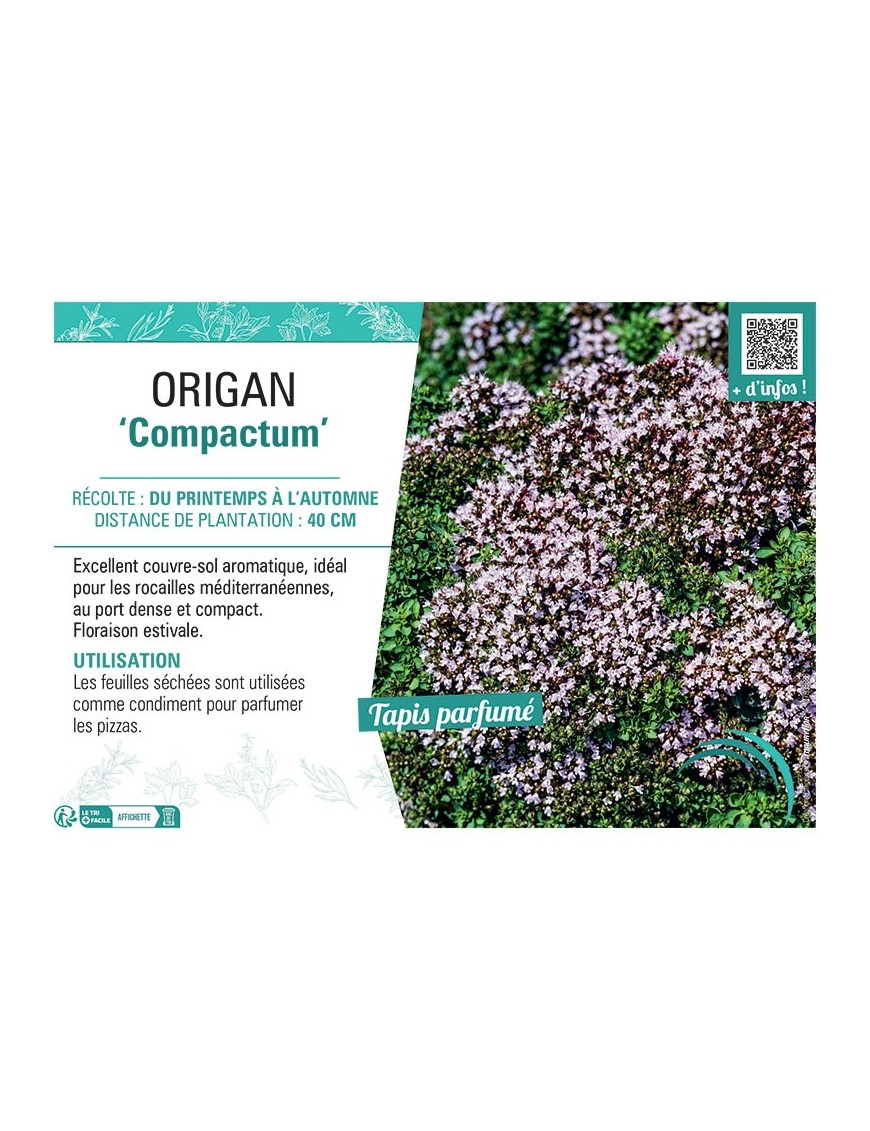 ORIGAN COMPACTUM