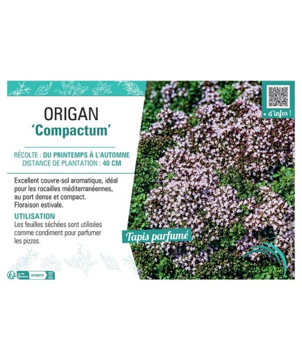 ORIGAN COMPACTUM