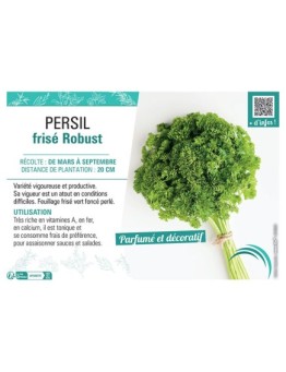 PERSIL FRISE ROBUST