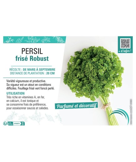 PERSIL FRISE ROBUST