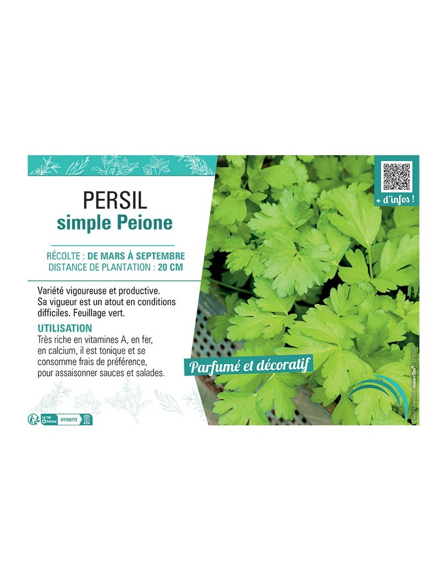 PERSIL SIMPLE PEIONE
