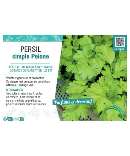 PERSIL SIMPLE PEIONE