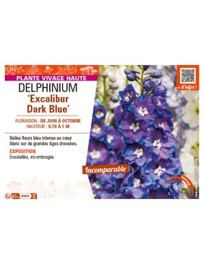 DELPHINIUM EXCALIBUR DARK BLUE