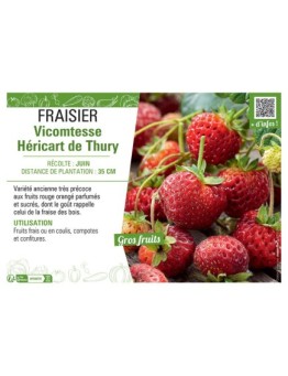 FRAISIER VICOMTESSE HERICART DE THURY