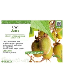 KIWI JENNY