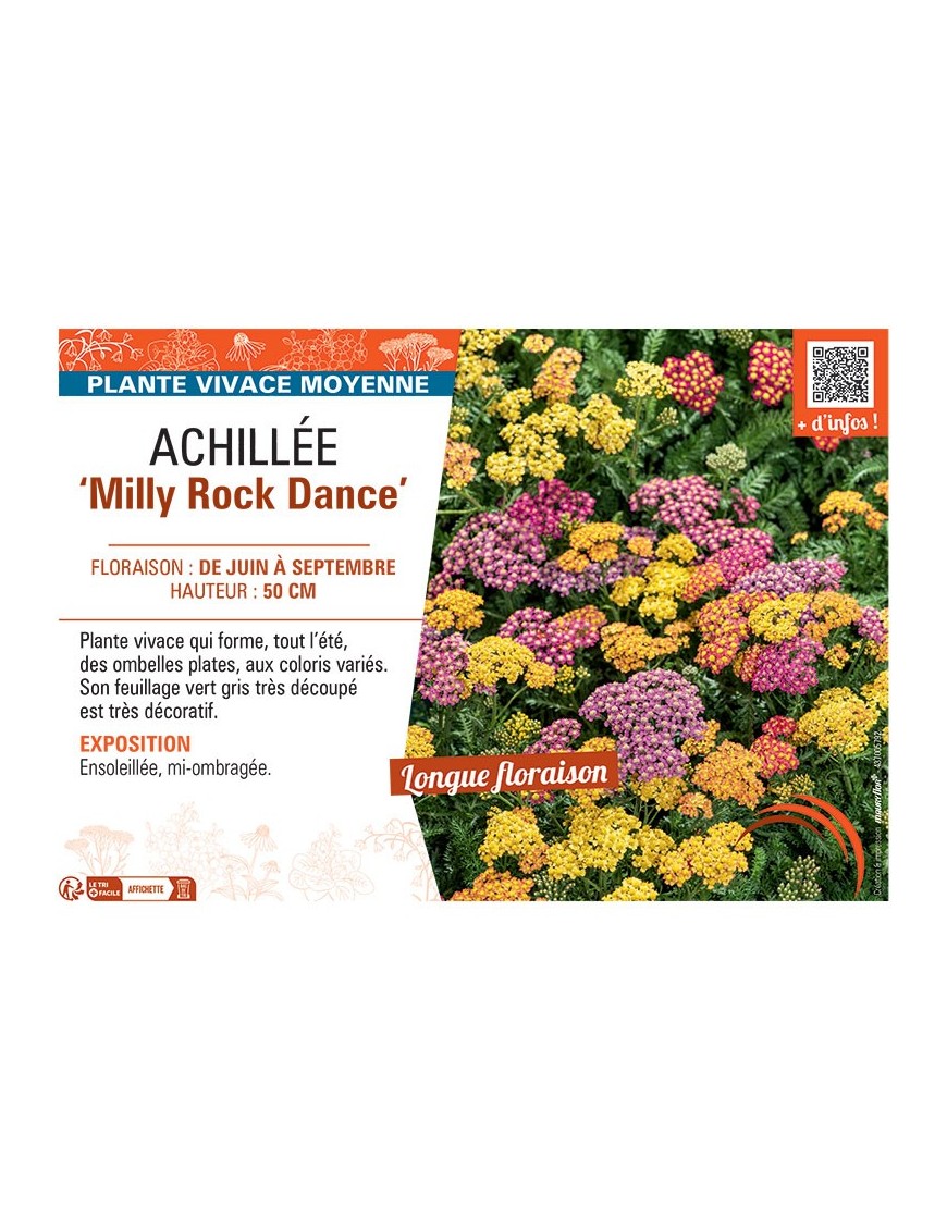 ACHILLEE MILLY ROCK DANCE