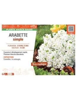ARABETTE SIMPLE (blanc)