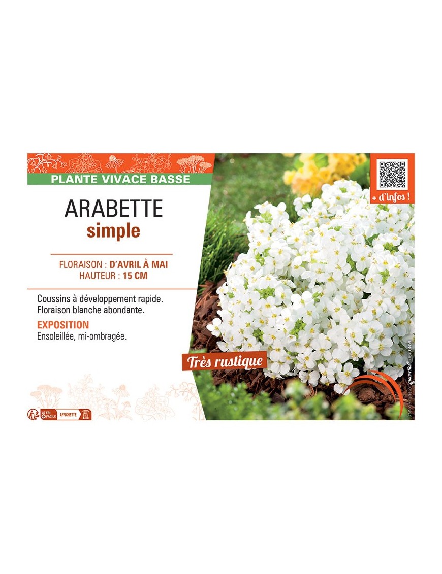 ARABETTE SIMPLE (blanc)
