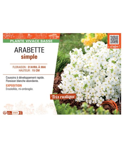 ARABETTE SIMPLE (blanc)