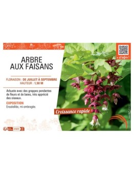 ARBRE AUX FAISANS