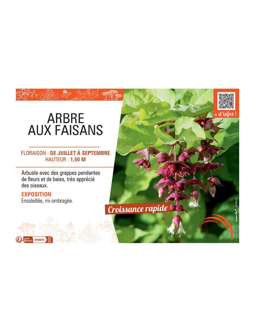 ARBRE AUX FAISANS