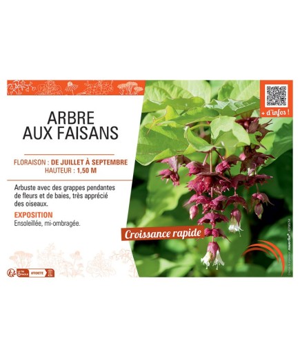 ARBRE AUX FAISANS