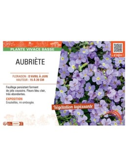AUBRIETE (bleu clair)