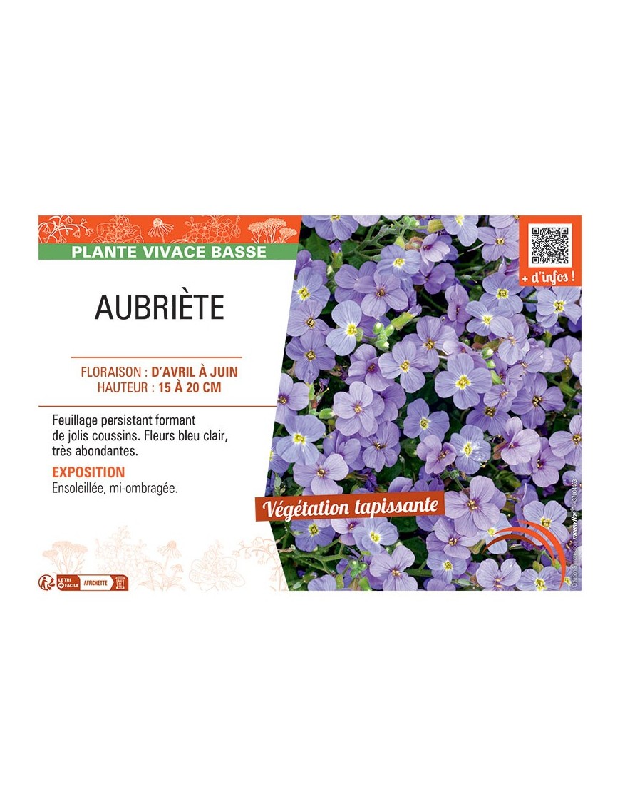 AUBRIETE (bleu clair)