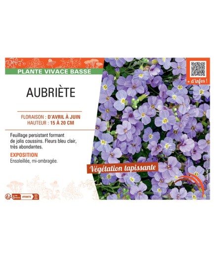 AUBRIETE (bleu clair)