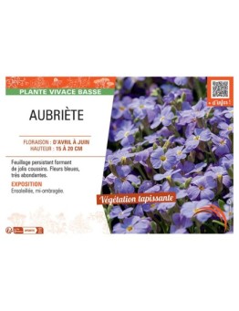 AUBRIETE (bleu)